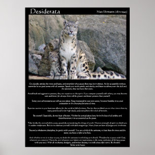 Desiderata zwei Geparden im Berg Poster