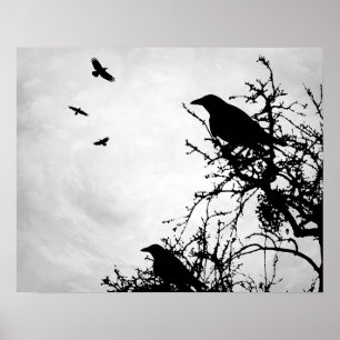 Design 43 Crow-Rabe Poster
