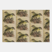 Design 6 der Ephemeride Birds Series Geschenkpapier Set (Vorderseite 2)