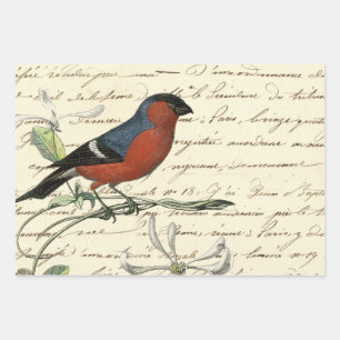 Design 6 der Ephemeride Birds Series Geschenkpapier Set