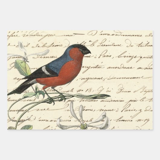 Design 6 der Ephemeride Birds Series Geschenkpapier Set (Vorderseite)