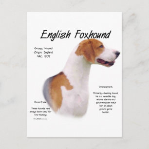 Design der englischen Foxhound-Geschichte Postkarte