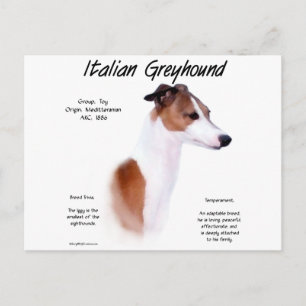 Design der Geschichte Italiens Postkarte