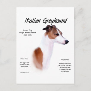 Design der Geschichte Italiens Postkarte