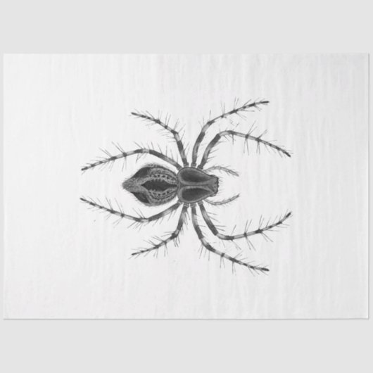 Design der Gothic-Verzauberungsreihe 4 Seidenpapier (Vorderseite)