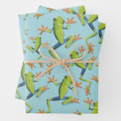 Design der Grünbaum-Frog-Muster Geschenkpapier Set (Beispiel)