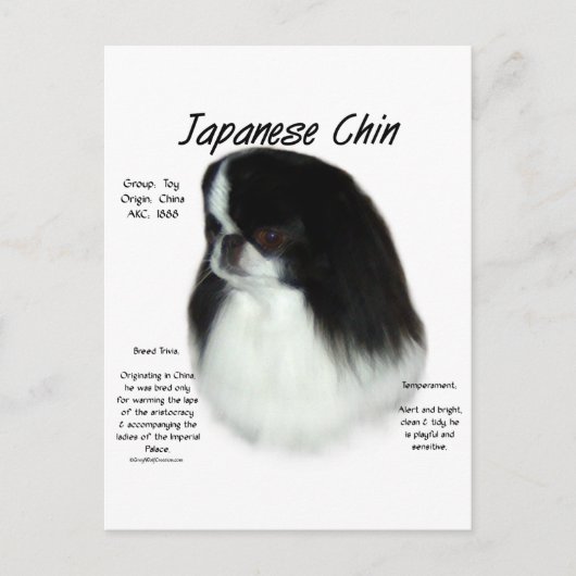 Design der japanischen Chirurgeschichte Postkarte (Vorderseite)