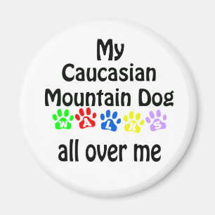 Design der kaukasischen Hundeschwalben Magnet