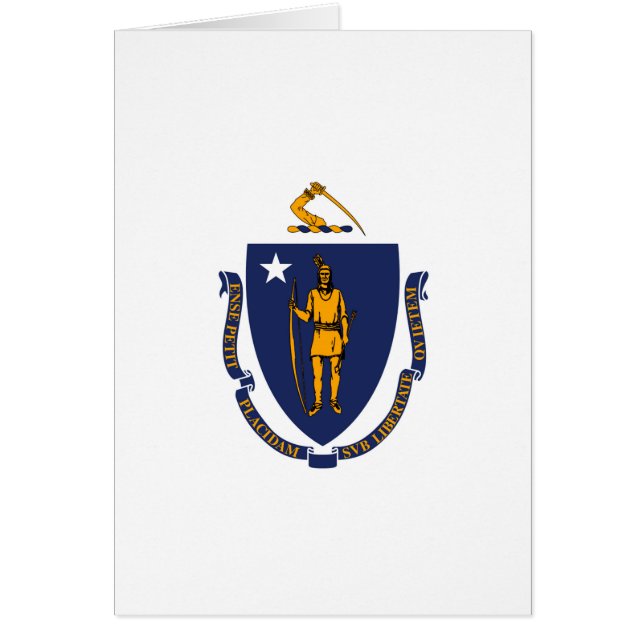 Design der Massachusetts-Staatsflagge (Vorne)
