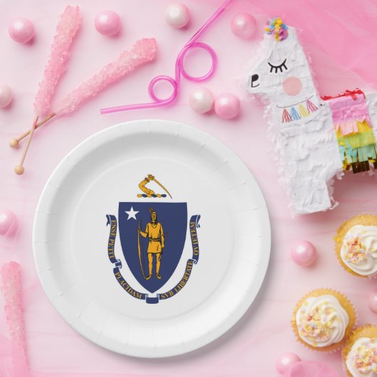 Design der Massachusetts-Staatsflagge Pappteller (Party)