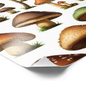 Design der Pilzkollektion Fotodruck (Ecke)