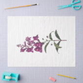 Design der Queen Bee Series 65 Seidenpapier (Basteln)