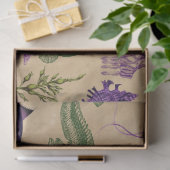 Design der Serie Salt Witch Grimore 14 Seidenpapier (Geschenk)