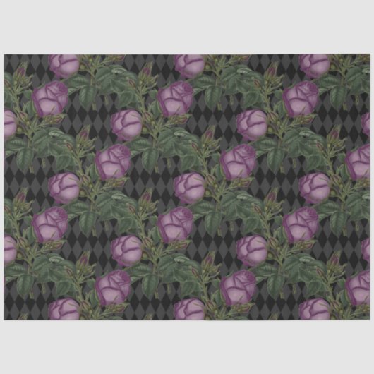 Design der Spider-Hexen-Serie 4 Seidenpapier (Vorderseite)