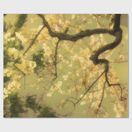 Design der Umschlagpapier-Roll-Kirsche Blossom Bra Geschenkpapier