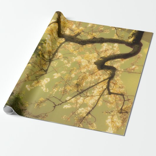 Design der Umschlagpapier-Roll-Kirsche Blossom Bra Geschenkpapier (Ungerollt)