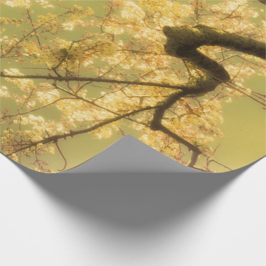 Design der Umschlagpapier-Roll-Kirsche Blossom Bra Geschenkpapier (Ecke)