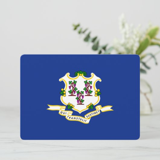 Design der Verbindungsstatusflagge (Stehend Vorderseite)