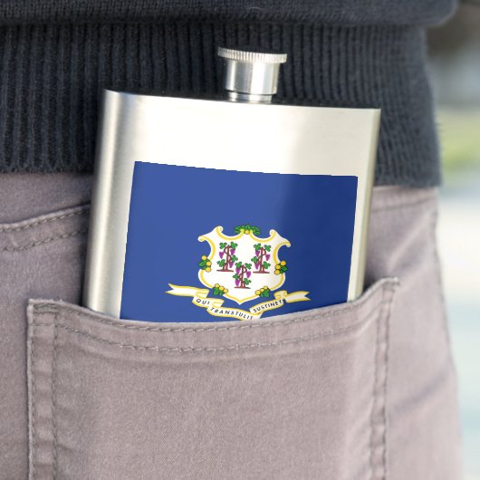 Design der Verbindungsstatusflagge Flachmann (Beispiel)