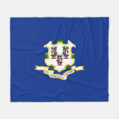 Design der Verbindungsstatusflagge Fleecedecke (Vorderseite (Horizontal))