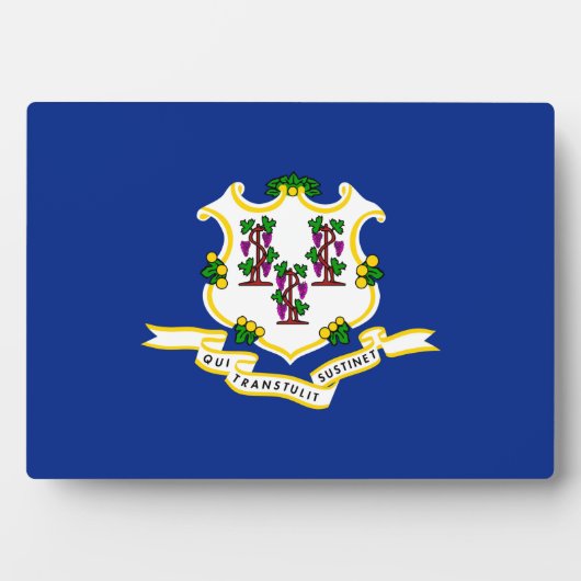 Design der Verbindungsstatusflagge Fotoplatte (Vorderseite)