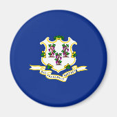 Design der Verbindungsstatusflagge Magnet (Vorne)