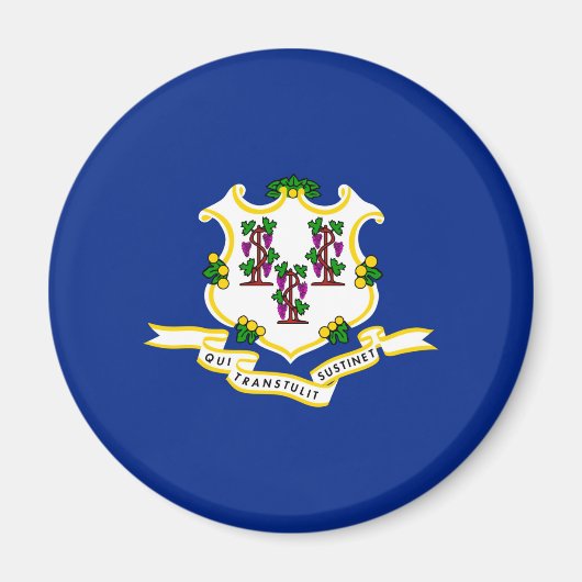 Design der Verbindungsstatusflagge Magnet (Vorne)