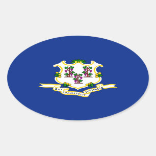 Design der Verbindungsstatusflagge Ovaler Aufkleber