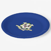 Design der Verbindungsstatusflagge Pappteller (Schrägansicht)