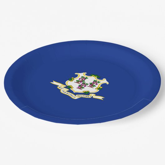 Design der Verbindungsstatusflagge Pappteller (Schrägansicht)