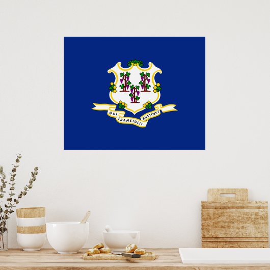 Design der Verbindungsstatusflagge Poster (Küche)