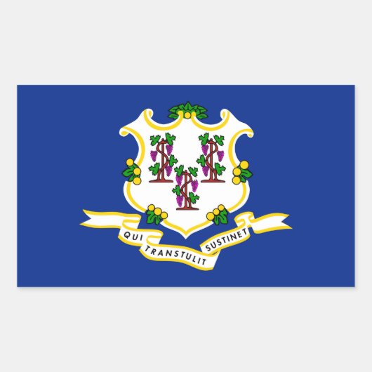 Design der Verbindungsstatusflagge Rechteckiger Aufkleber (Vorderseite)