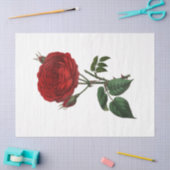 Design der Vintagen Rose 116 Seidenpapier (Basteln)