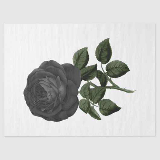 Design der Vintagen Rose 31 Seidenpapier (Vorderseite)