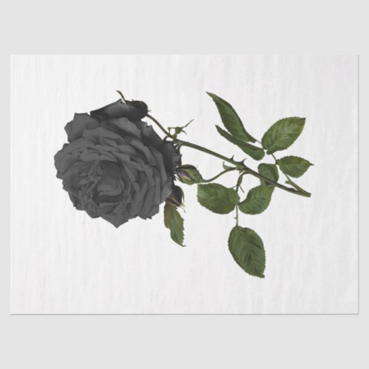 Design der Vintagen Rose 39 Seidenpapier (Vorderseite)
