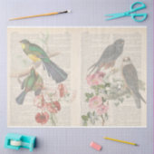 Design der Vintagen Vogelserie 6 Seidenpapier (Basteln)