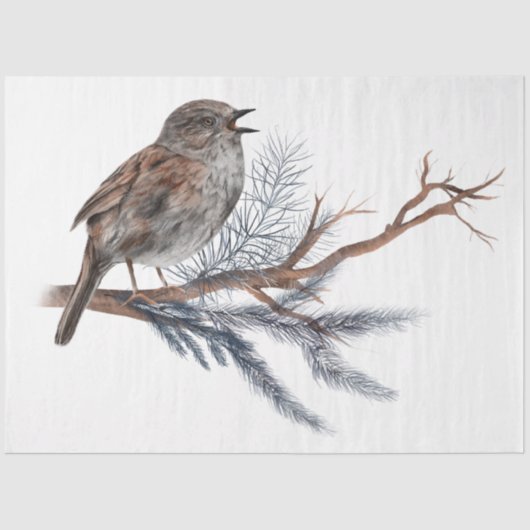 Design der Weihnachtsbird-Serie 5 Seidenpapier (Vorderseite)