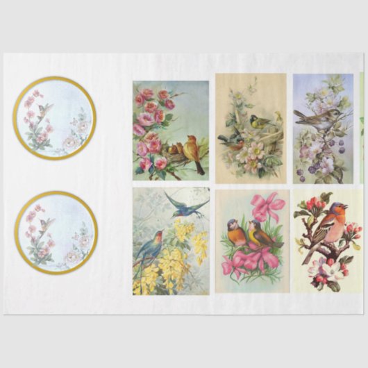 Design der Wild Bird-Serie 2 Seidenpapier (Vorderseite)