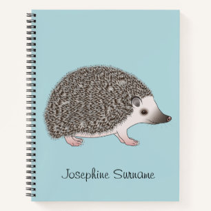 Design des ASP-Igel-Cartoon auf blau Notizblock