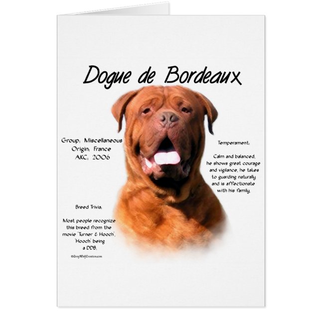Design des Dogue de Bordeaux (Vorne)