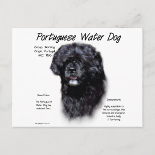 Design des portugiesischen Wasserhundes Postkarte