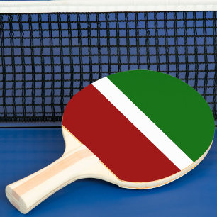 Design des roten grünen Blocksticks Tischtennis Schläger
