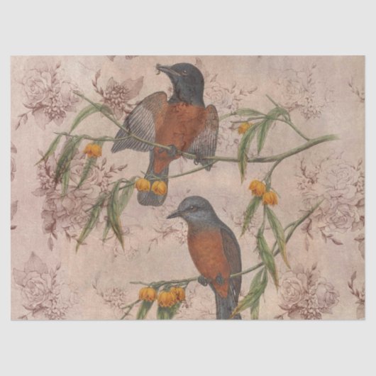 Design Drei der Ephemeride Birds Serie Seidenpapier (Vorderseite)