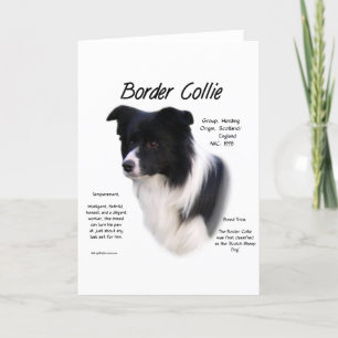 Design für den Verlauf von Border Collie Feiertagskarte