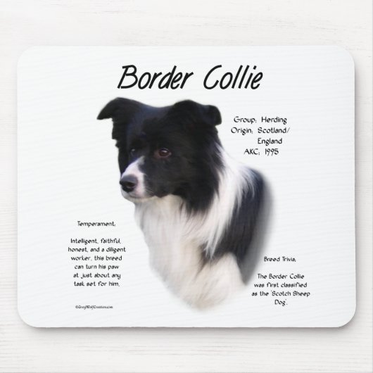 Design für den Verlauf von Border Collie Mousepad (Vorne)