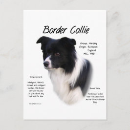 Design für den Verlauf von Border Collie Postkarte
