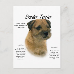 Design für den Verlauf von Border Terrier Postkarte