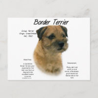 Design für den Verlauf von Border Terrier