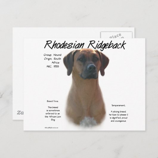 Design für die Geschichte von Rhodesian Ridgeback Postkarte (Vorne/Hinten)