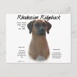 Design für die Geschichte von Rhodesian Ridgeback Postkarte
